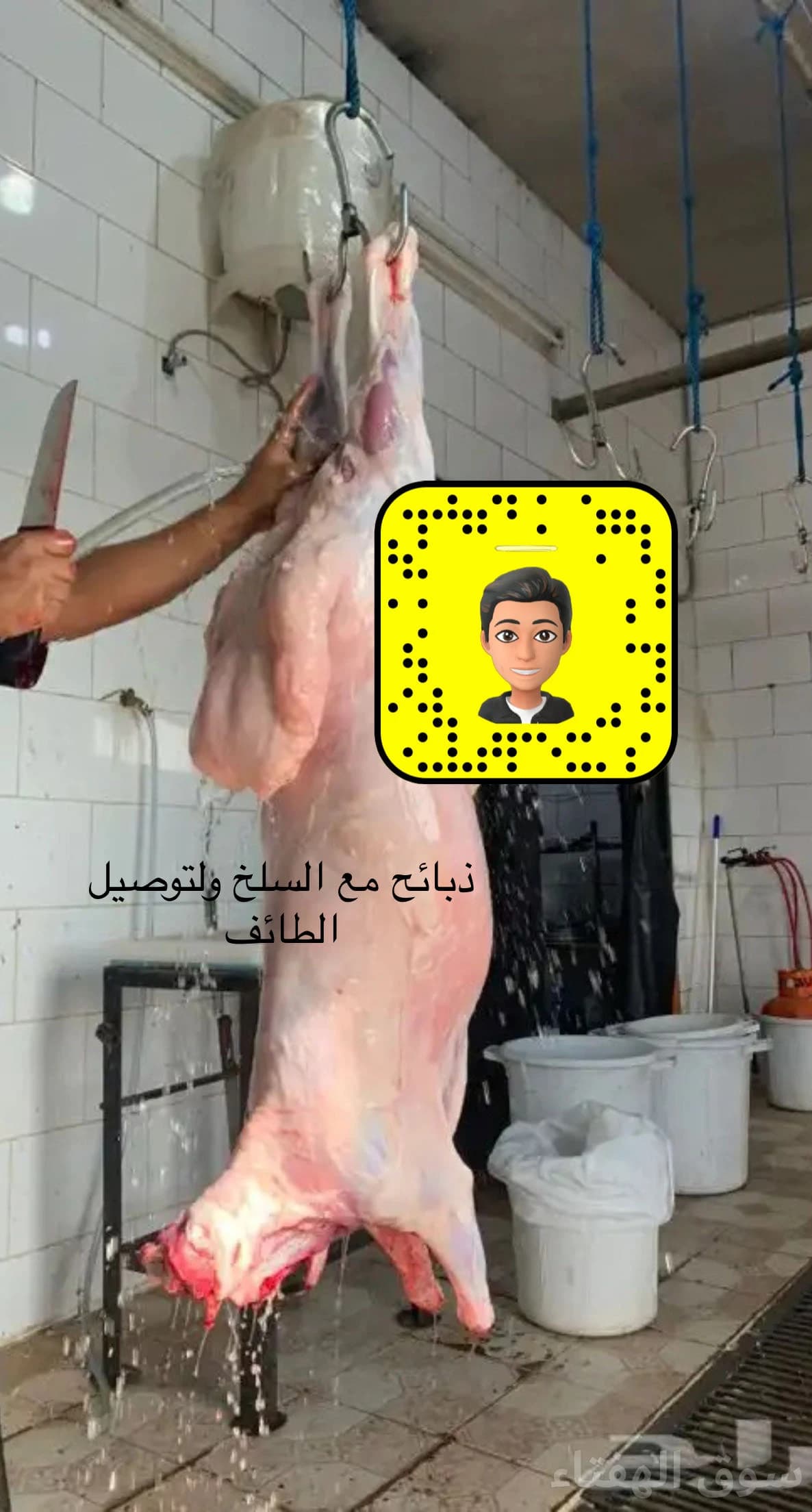 نوفر ذبائح ثلاجة ومناسبات مع السلخ ولتوصيل