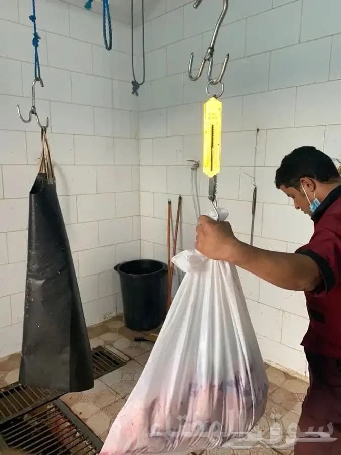 نوفر ذبائح ثلاجة ومناسبات مع السلخ ولتوصيل 6