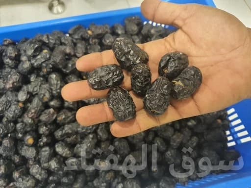 تمر عجوة المدينة المنورة من المدينة المنورة 7