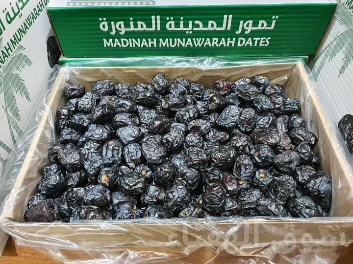 تمر عجوة المدينة المنورة من المدينة المنورة 9