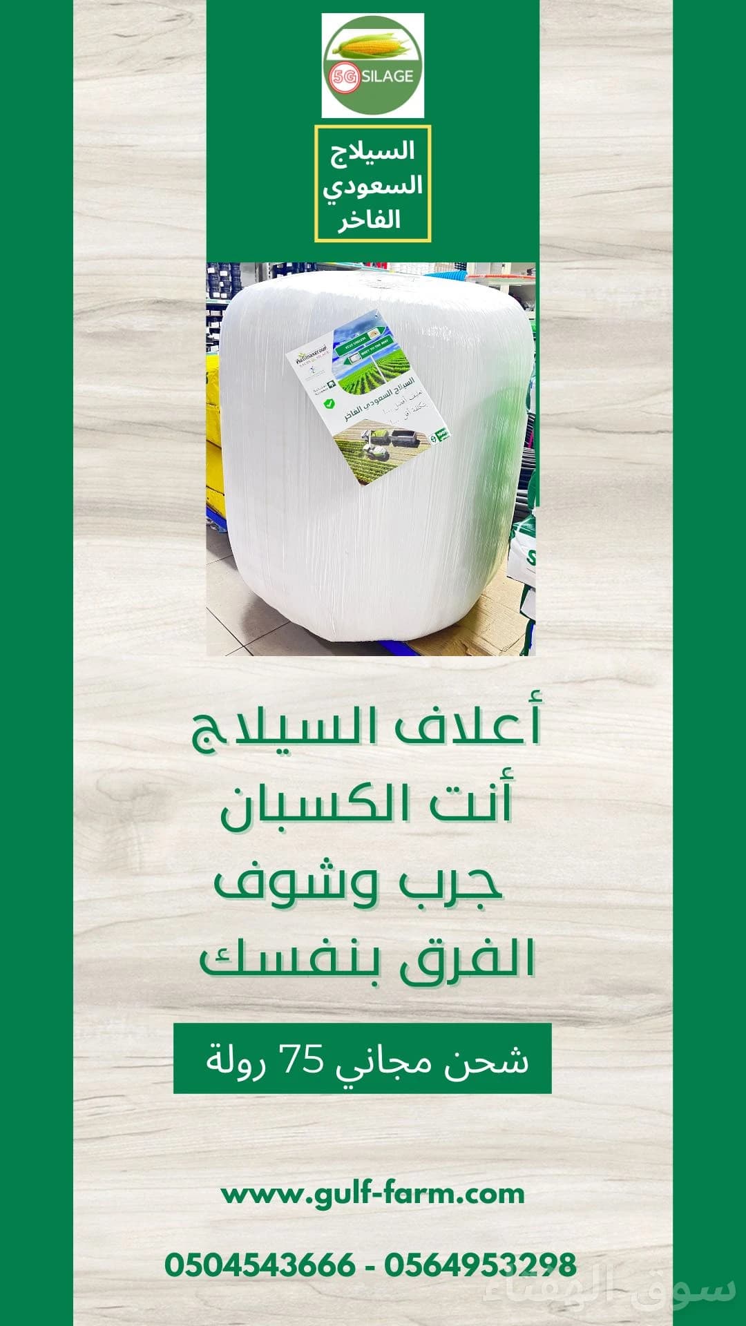 أعلاف السيلاج السعودي الفاخر