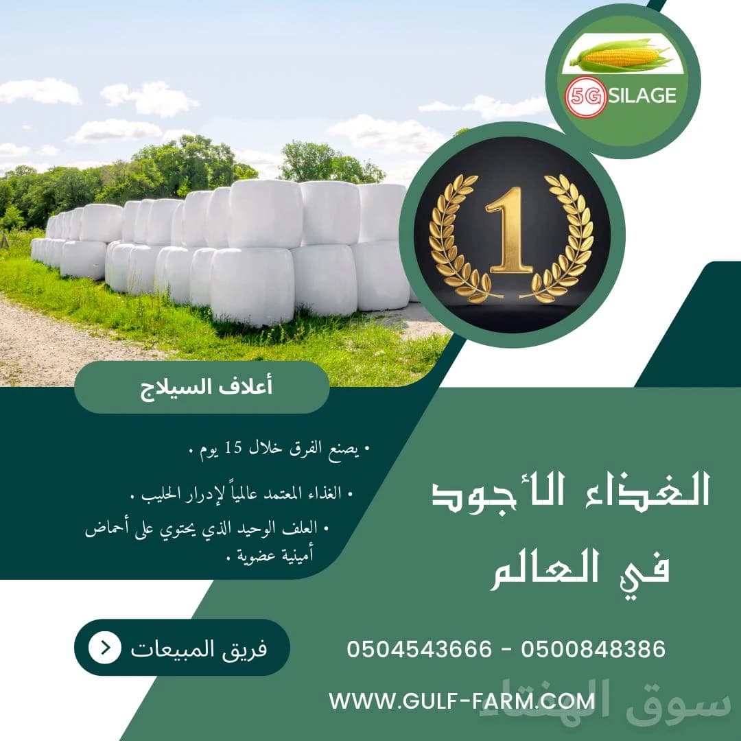 سيلاج الشعير بلس 3