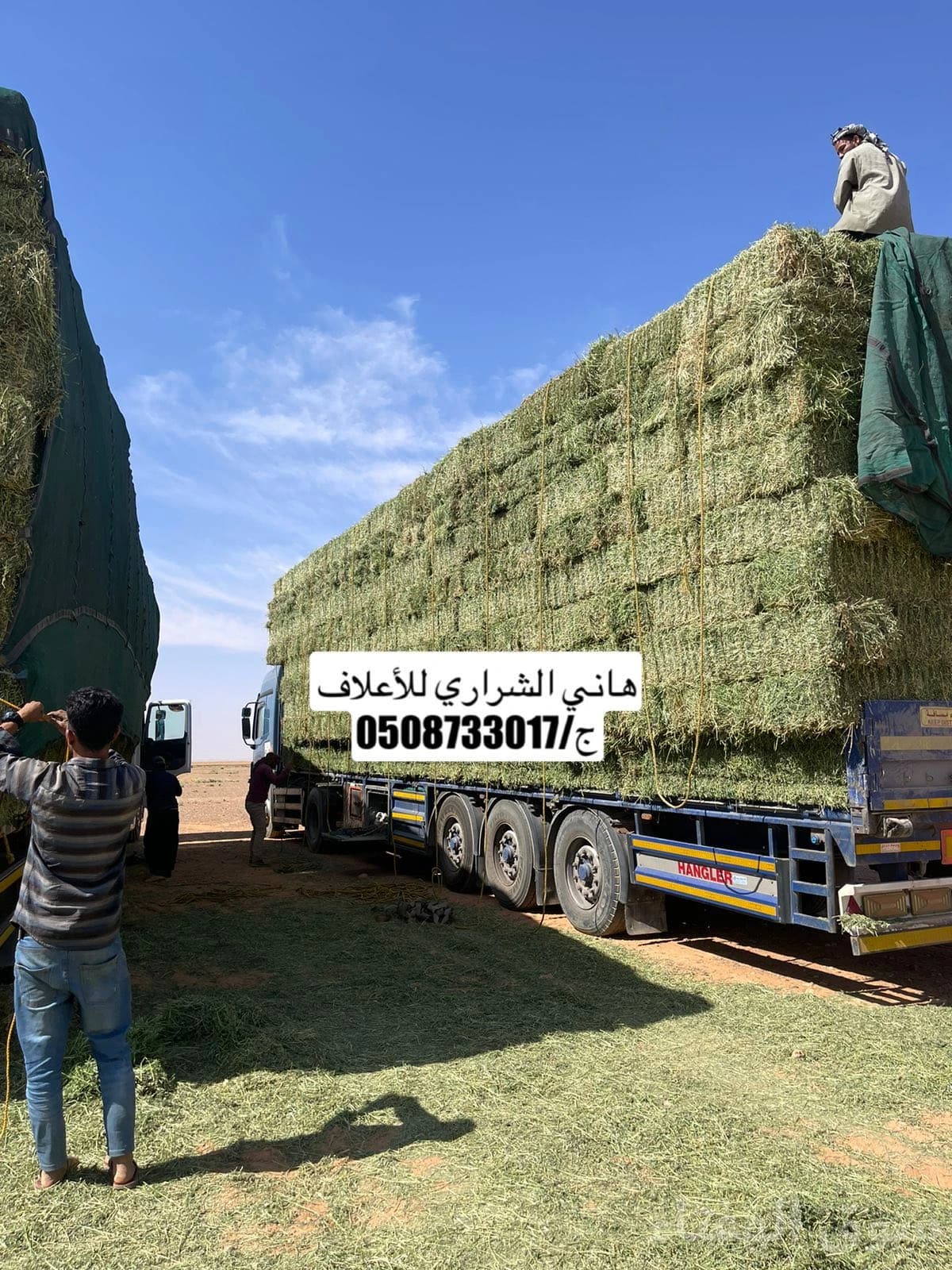 اعلاف