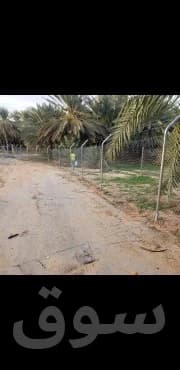 توريدوتركيب جميع انواع الشبوك 9