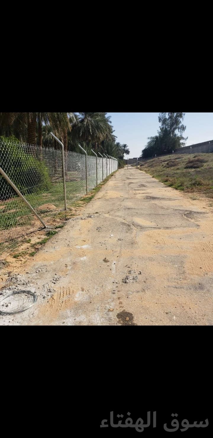 توريدوتركيب الشبوك 3