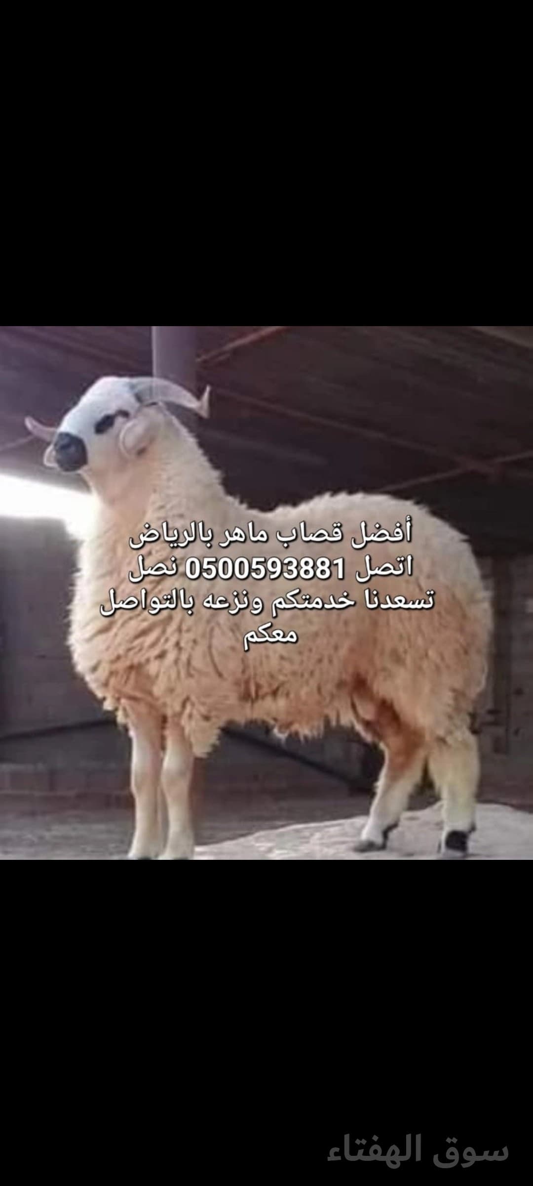 قصاب ماهر بالرياض0500593881