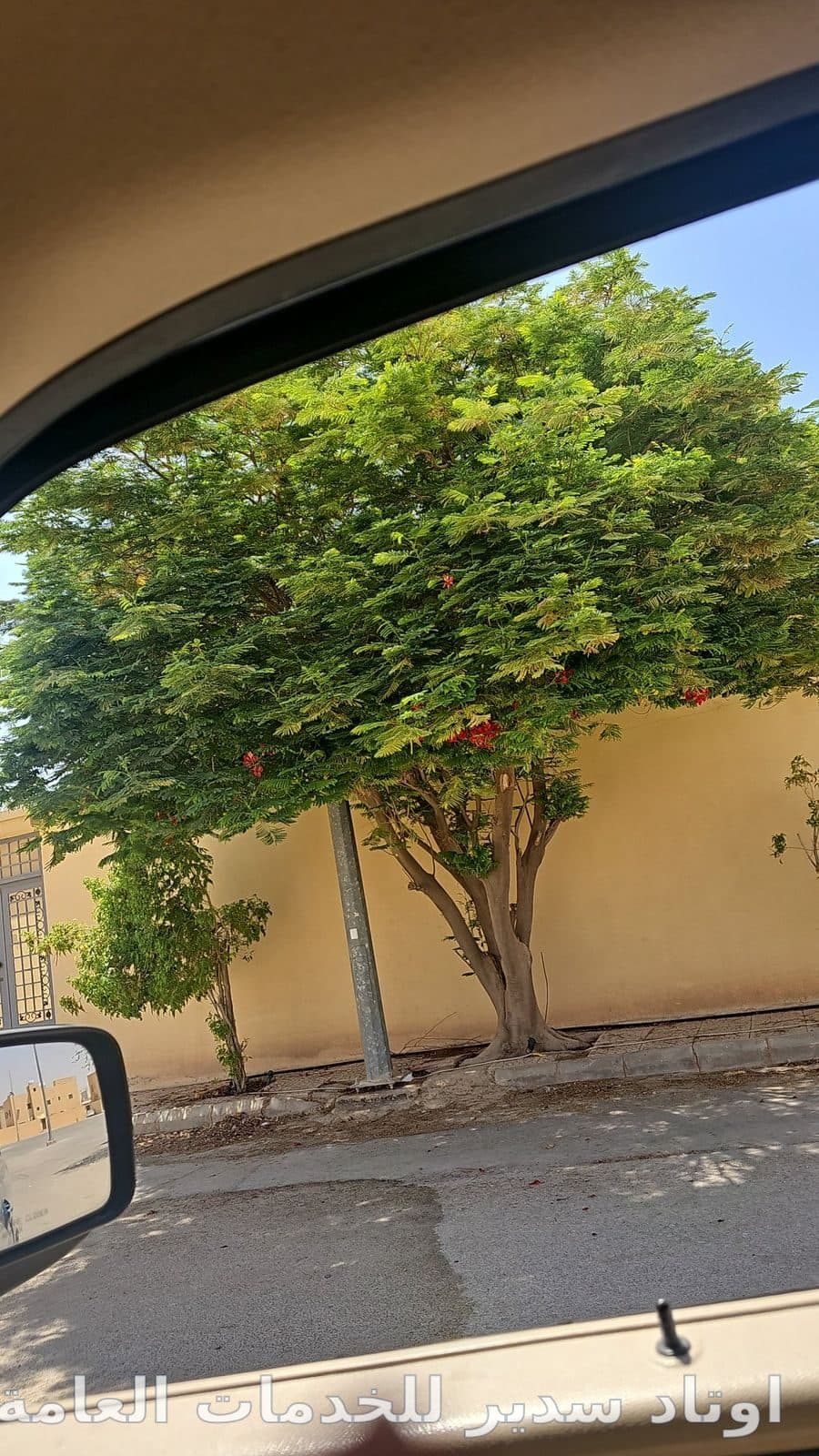 للبيع