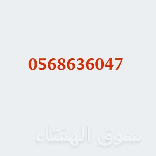 دينا نقل العفش شرق الرياض 2