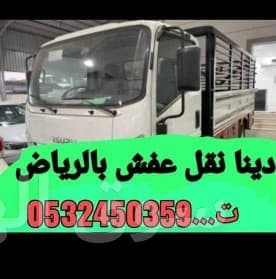 دينا طش العفش بالرياض