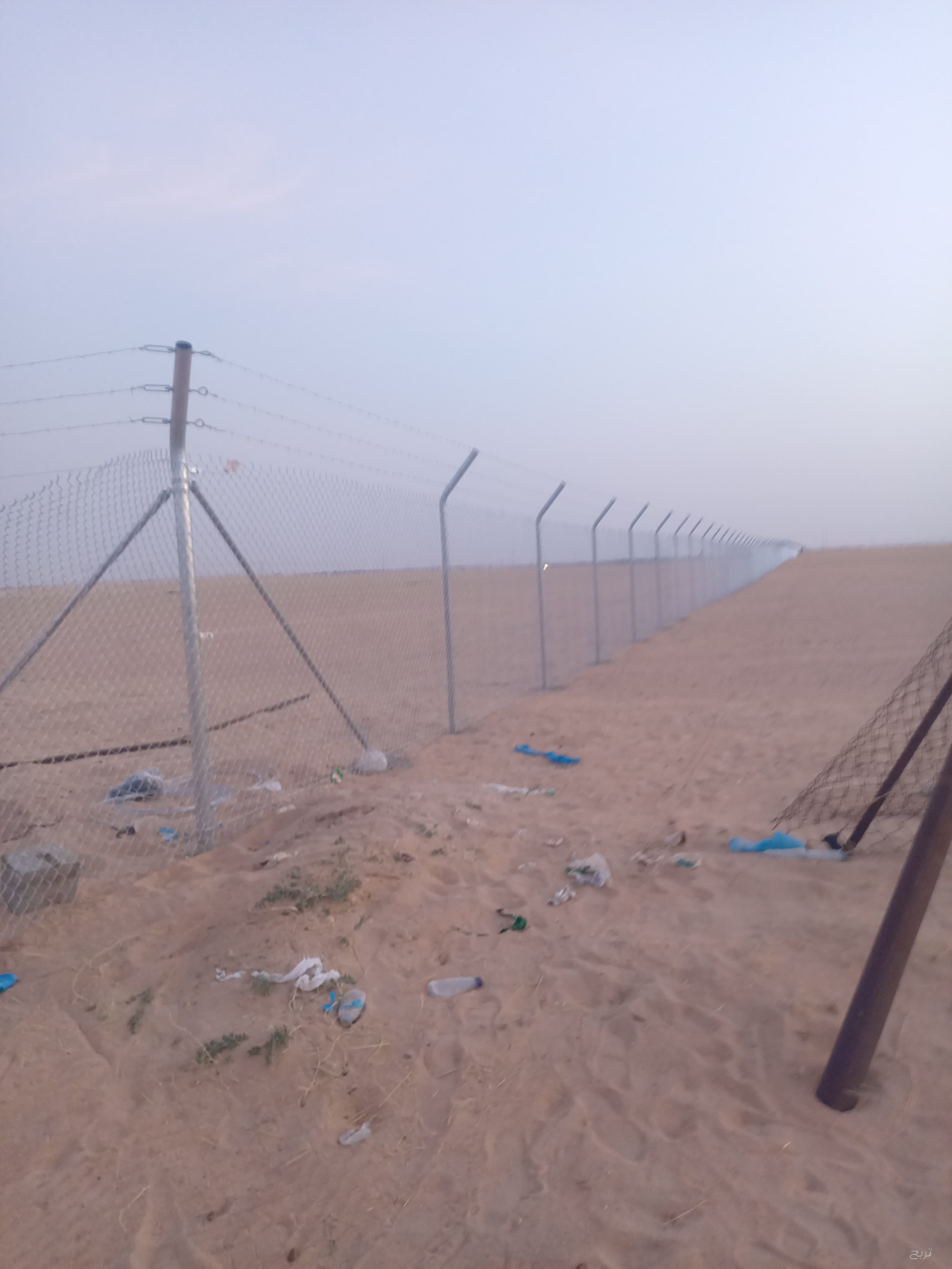 مقاول شبوك ونخيل 0551288900 2