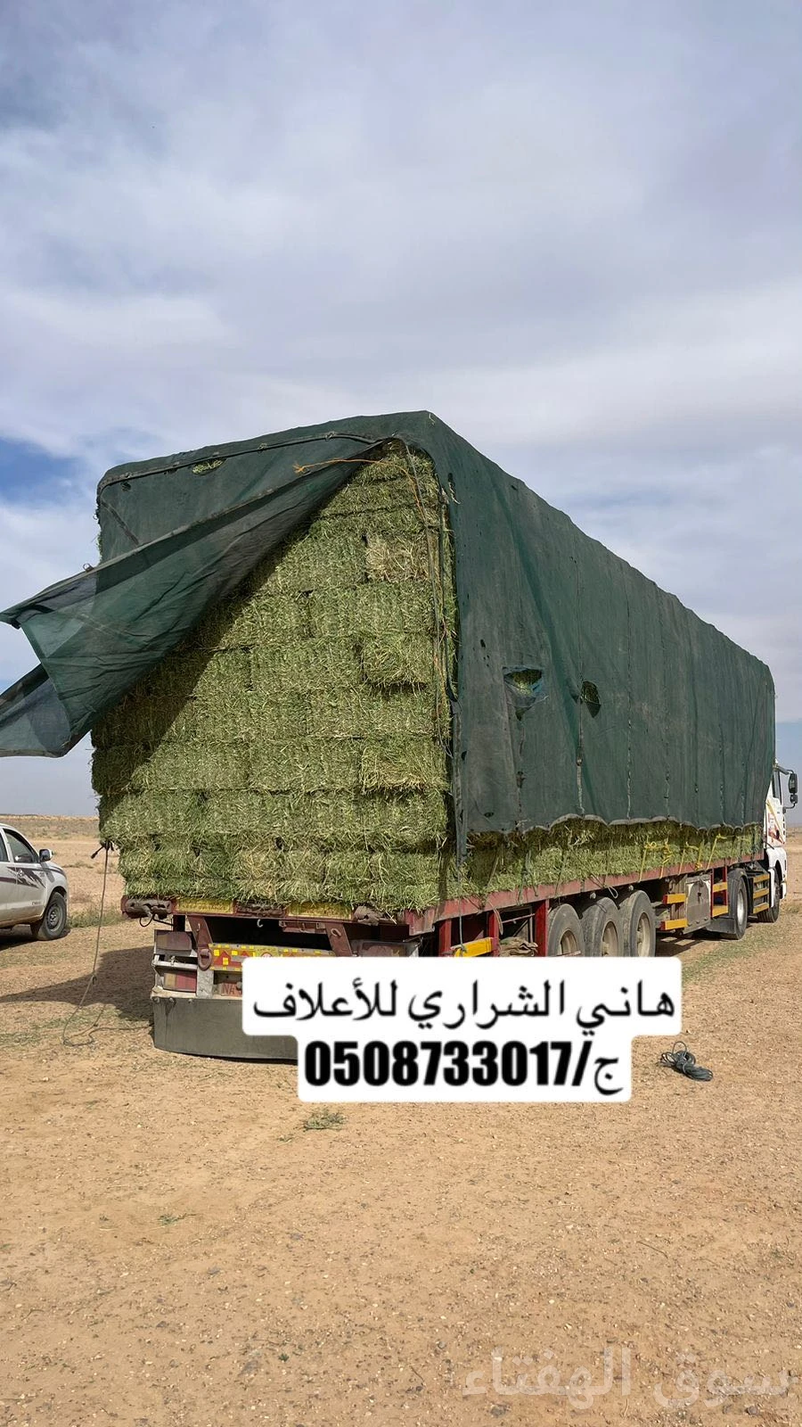 اعلاف