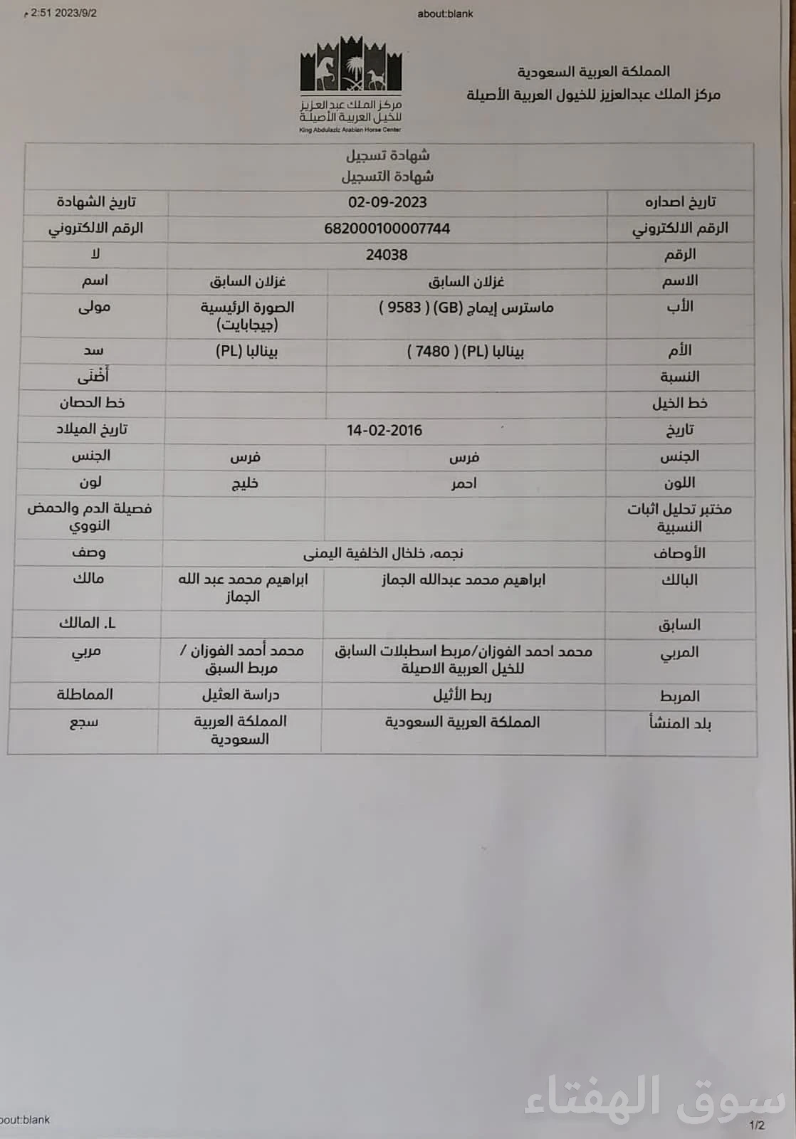 للبيع فرس عربيه اصيل