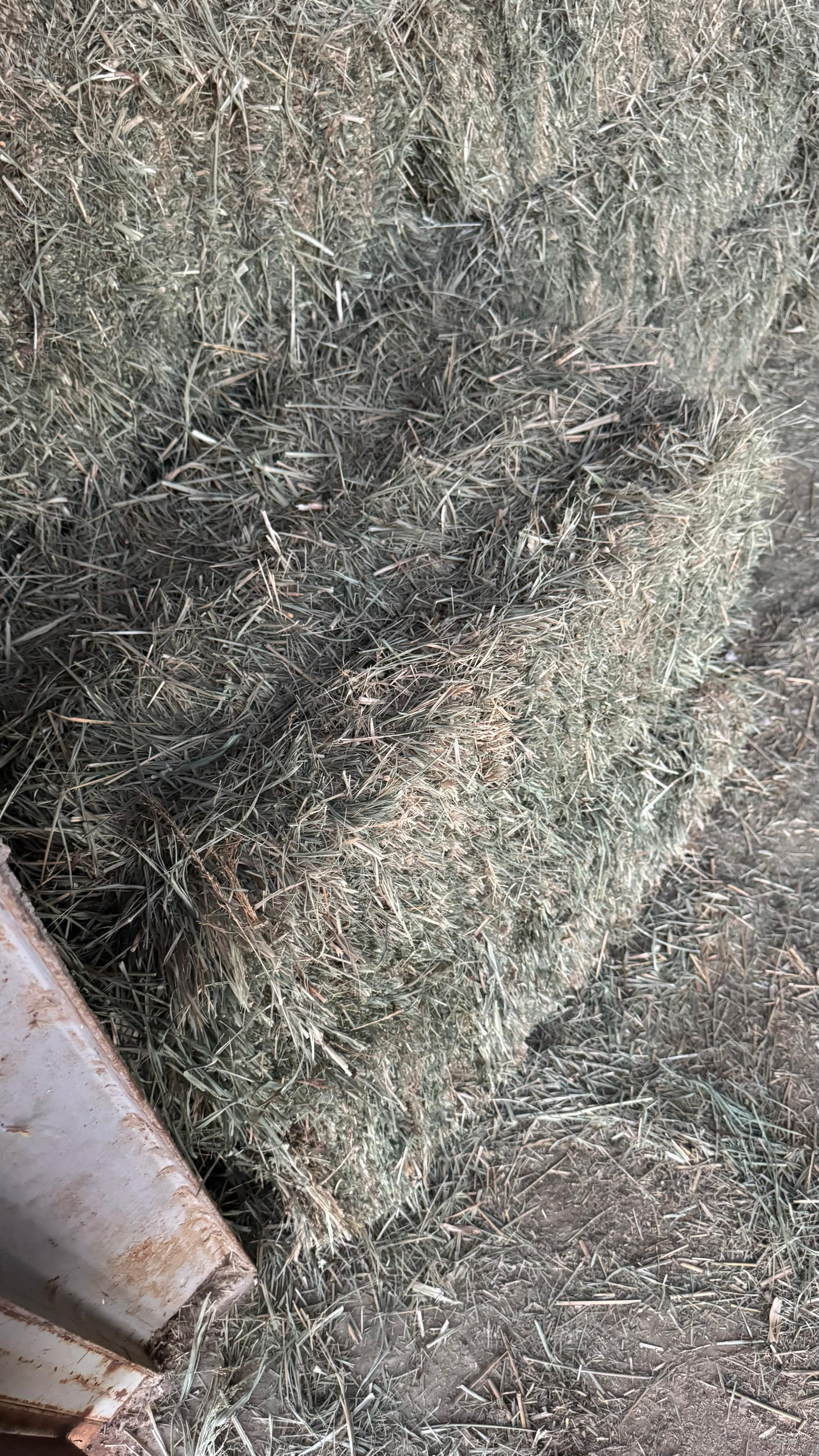 للبيع بلبونك شد طيب