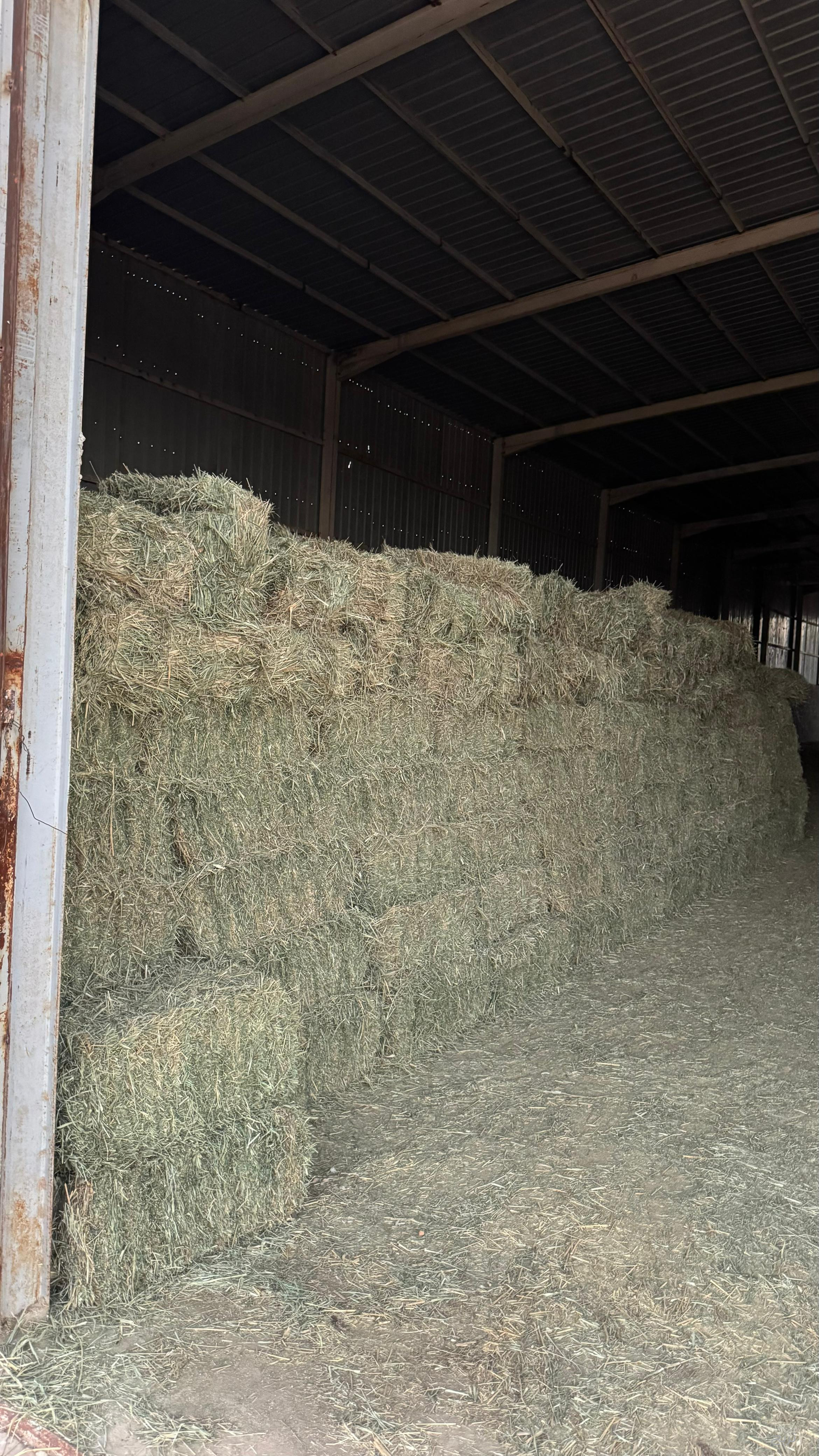 للبيع بلبونك شد طيب