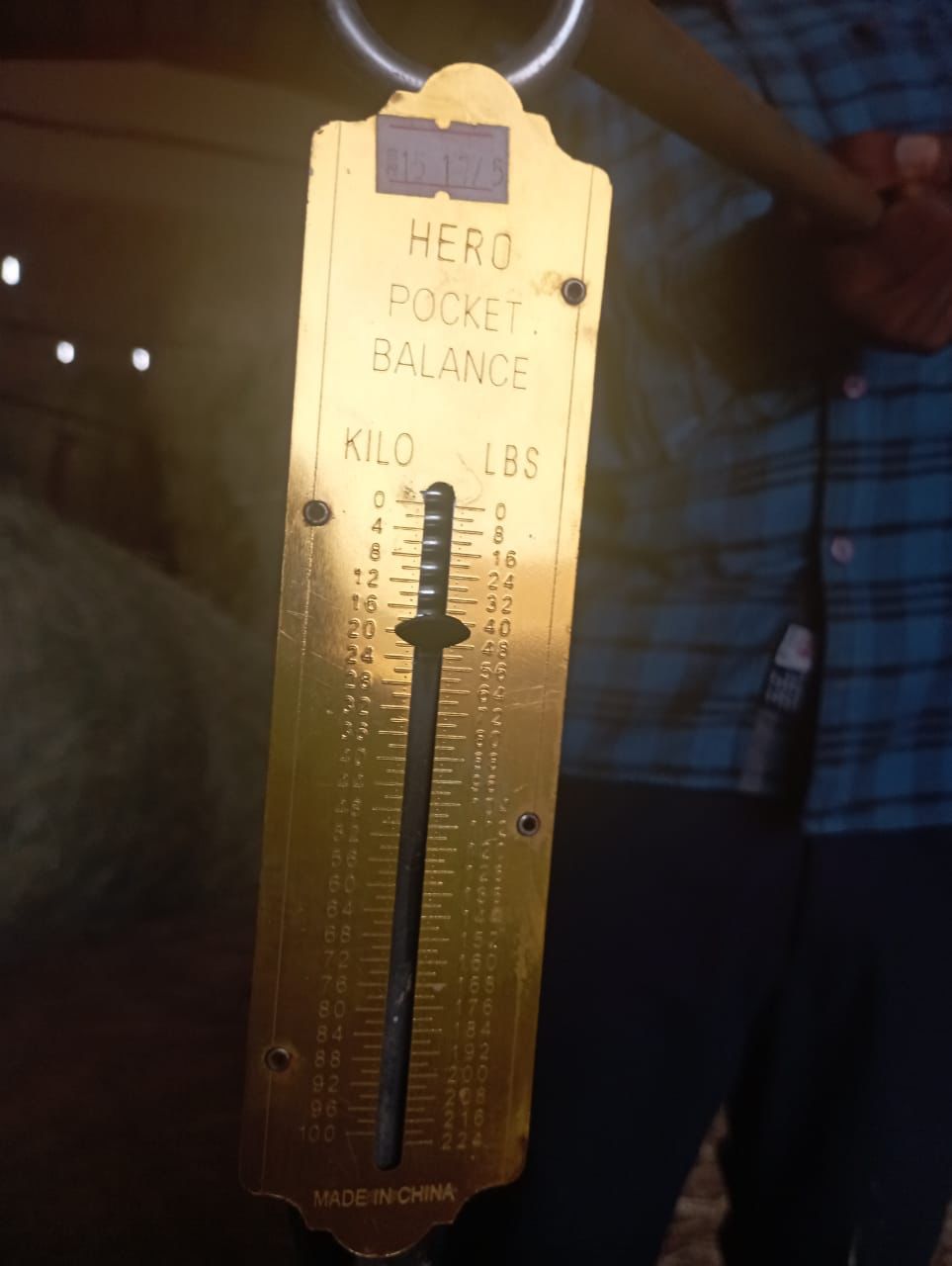 علف بلوبانك مع ذره