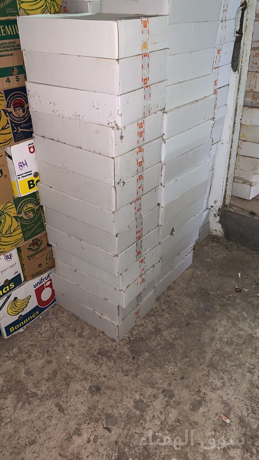 للبيع تمر علف للمواشي