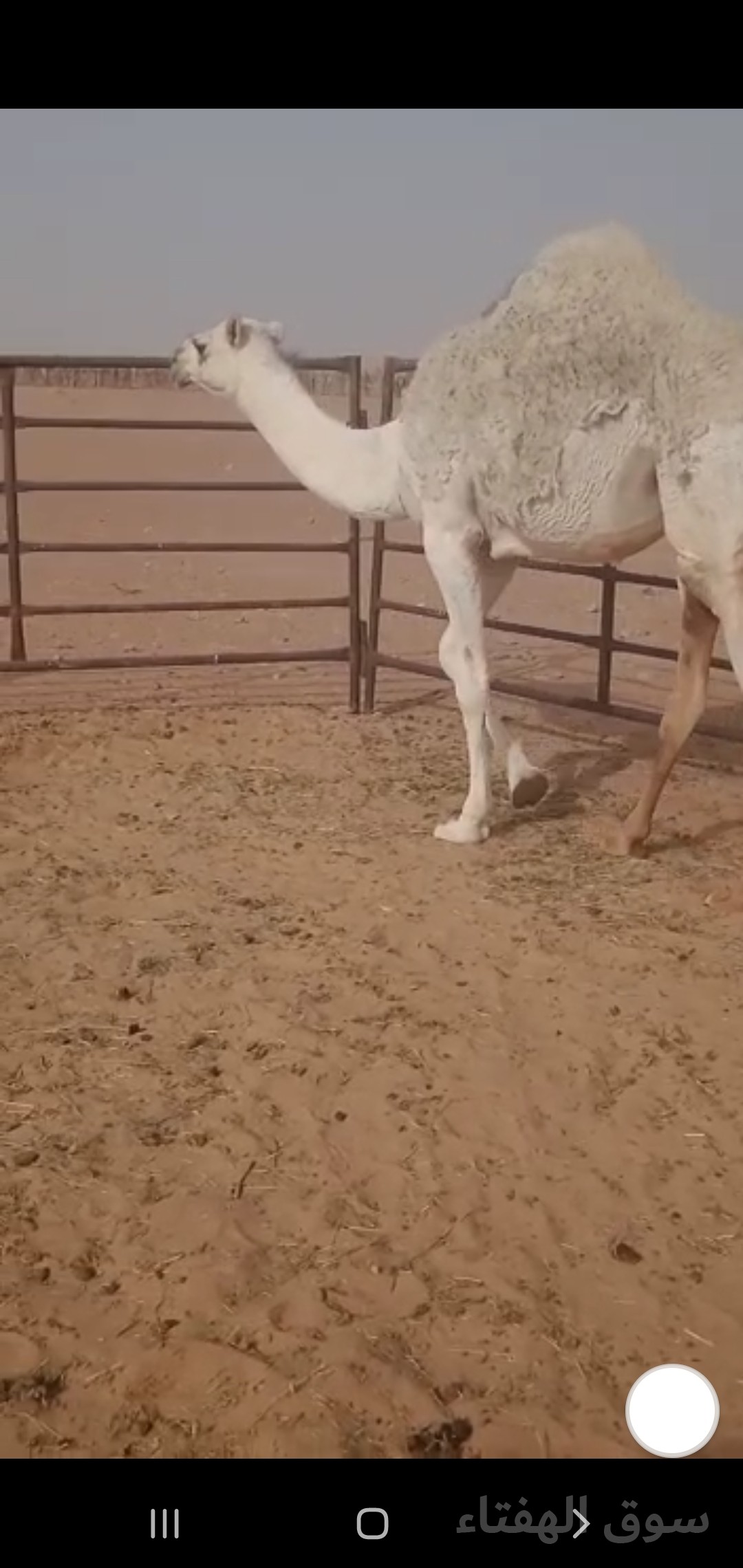 للبيع خلفه مجهم
