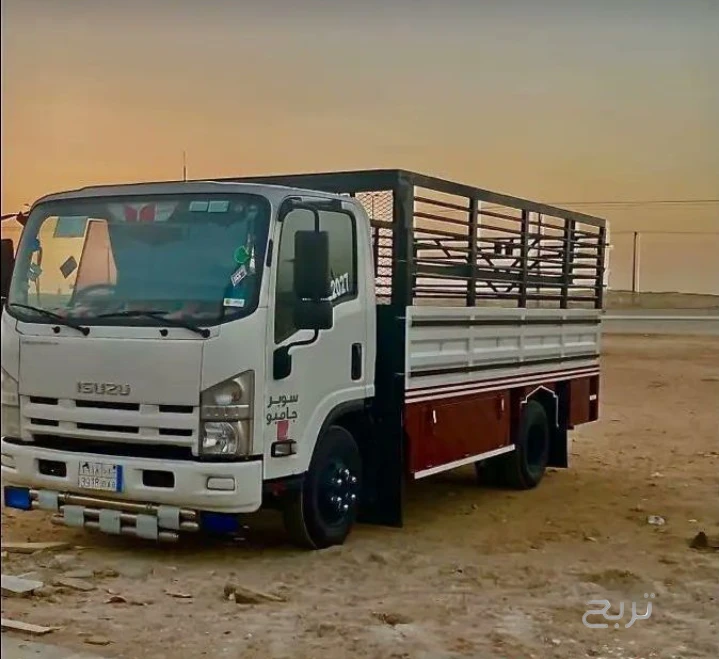 دينا تخلص من الاثاث القديم